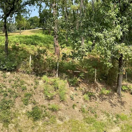 Apartment Egoitza Dans Les Pins Guethary Saint-Jean-de-Luz